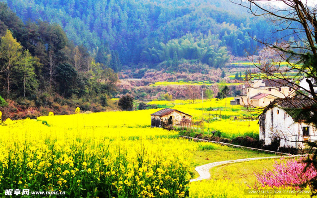 风景