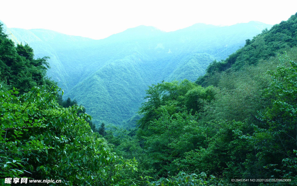 风景