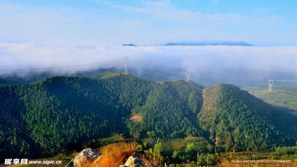 风景
