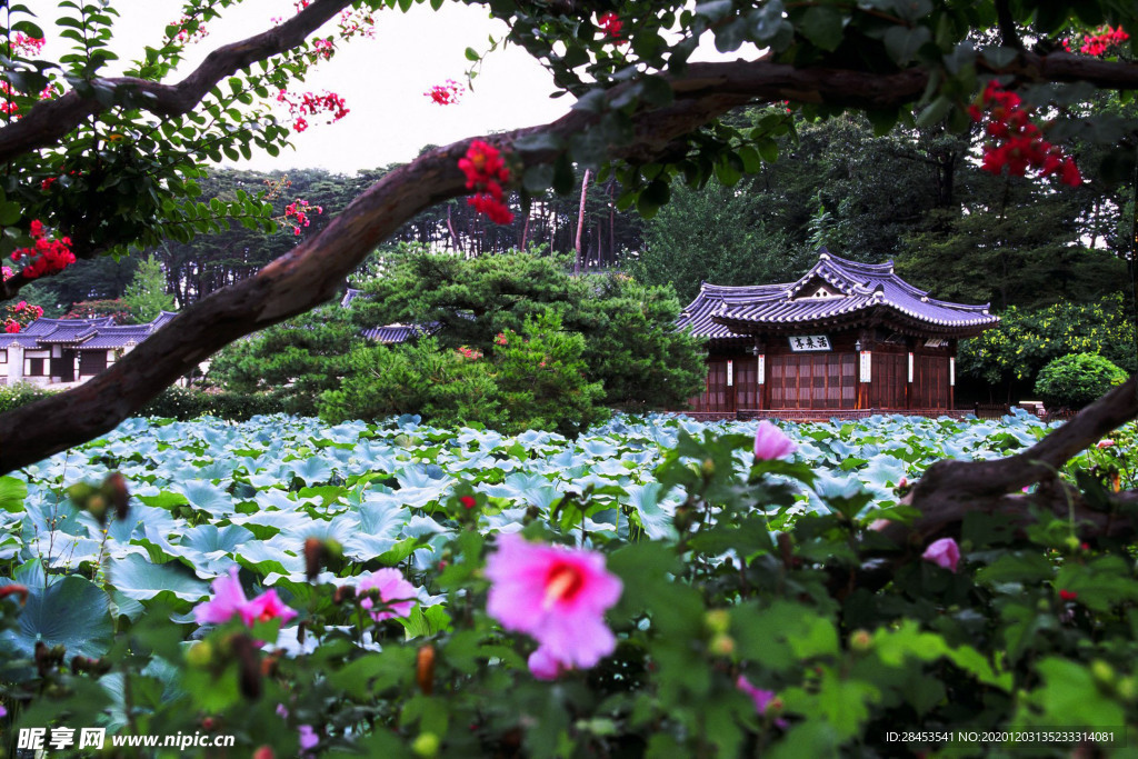 风景