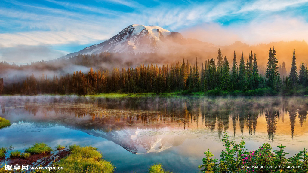 风景