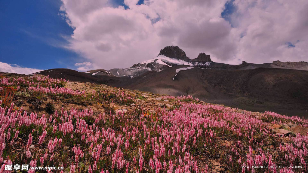风景