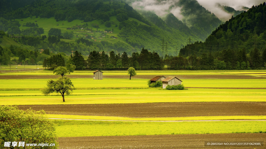 风景