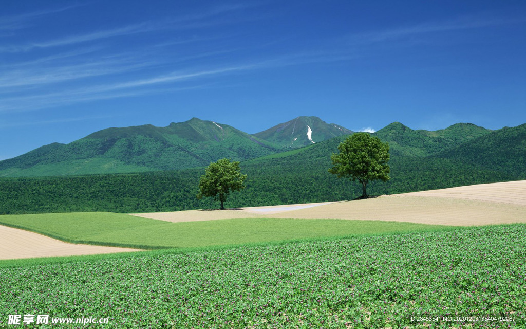 风景