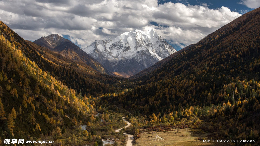 风景