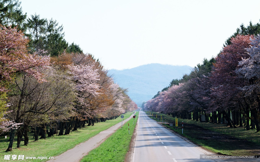 风景