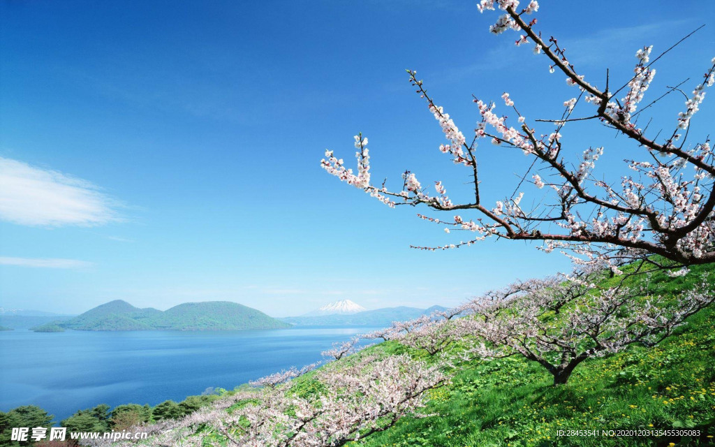 风景