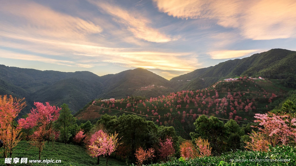 风景