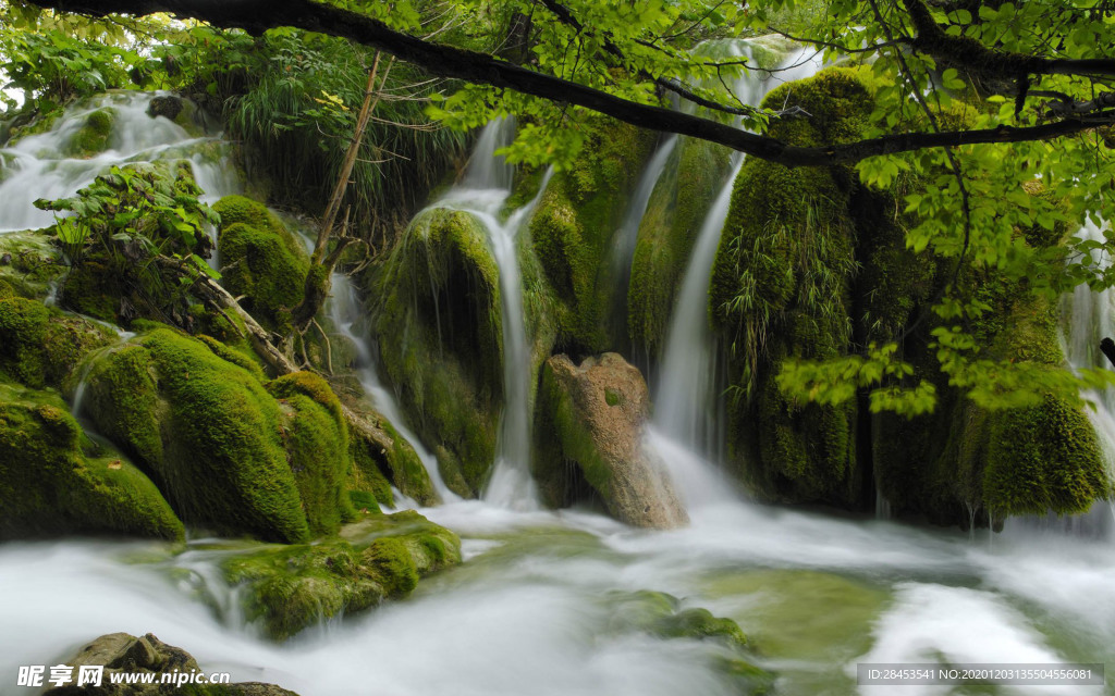 风景