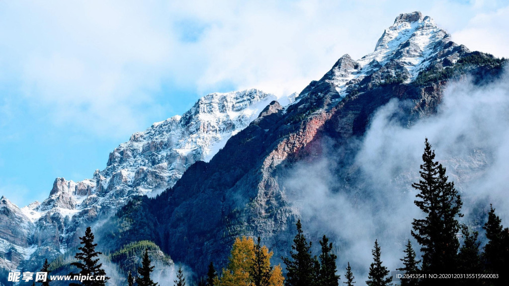 风景