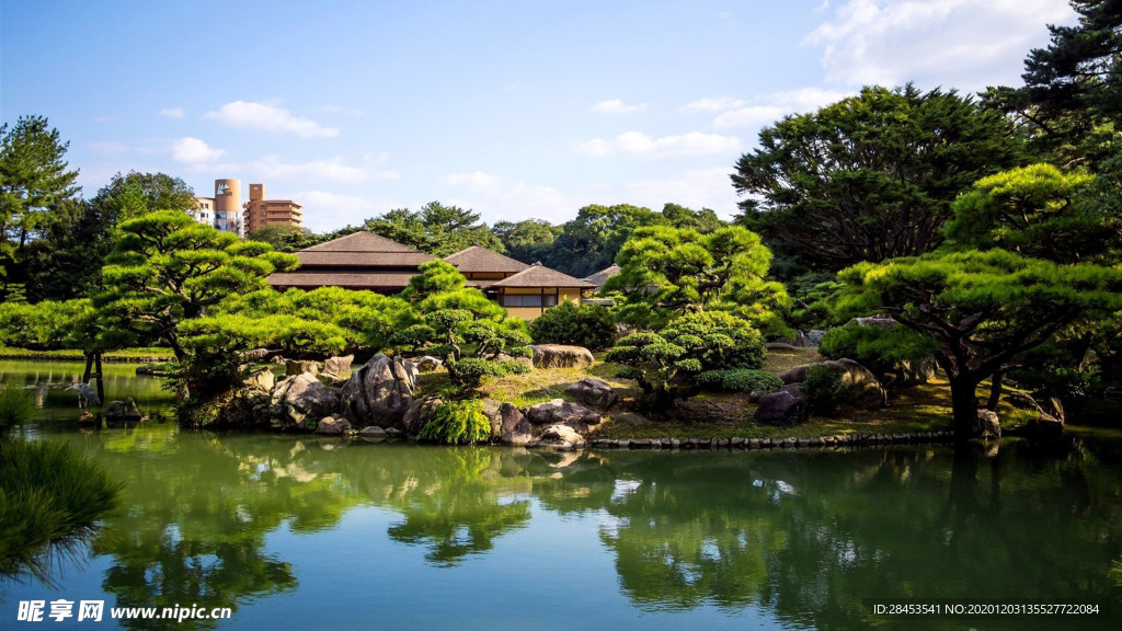 风景