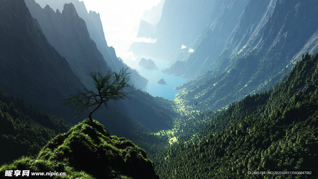 风景
