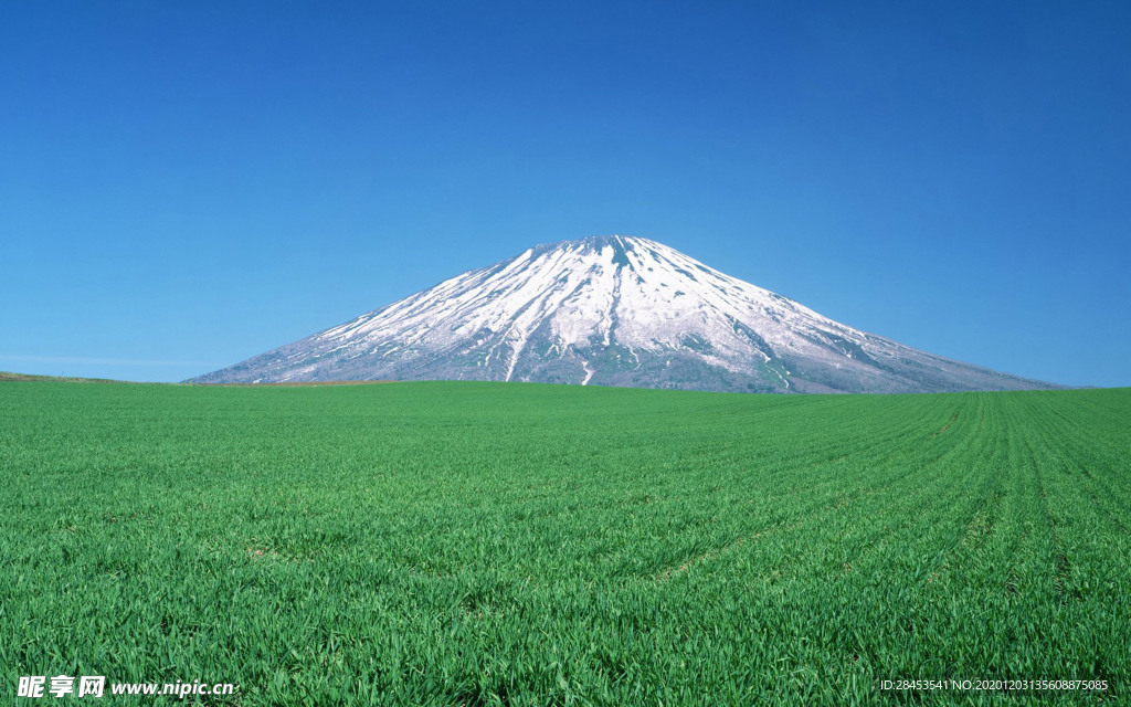风景