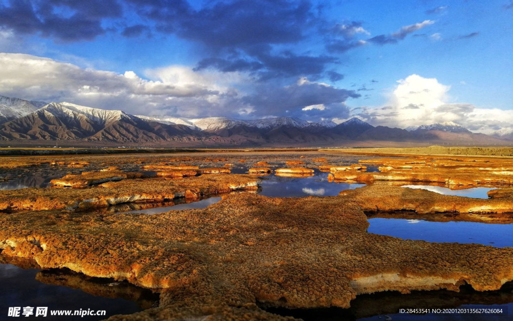 风景