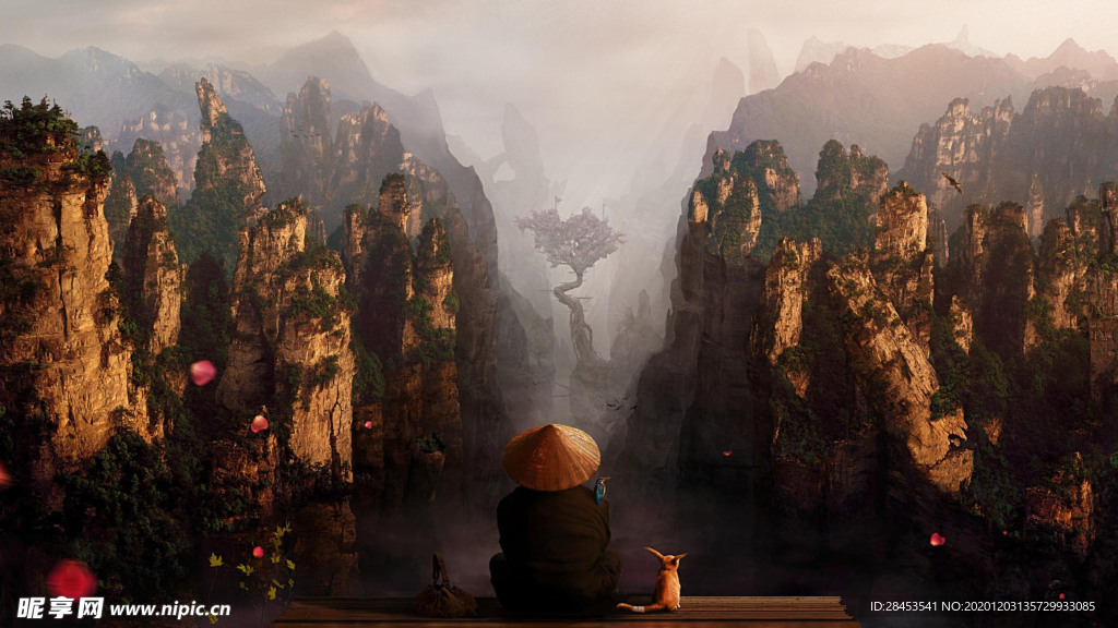 风景