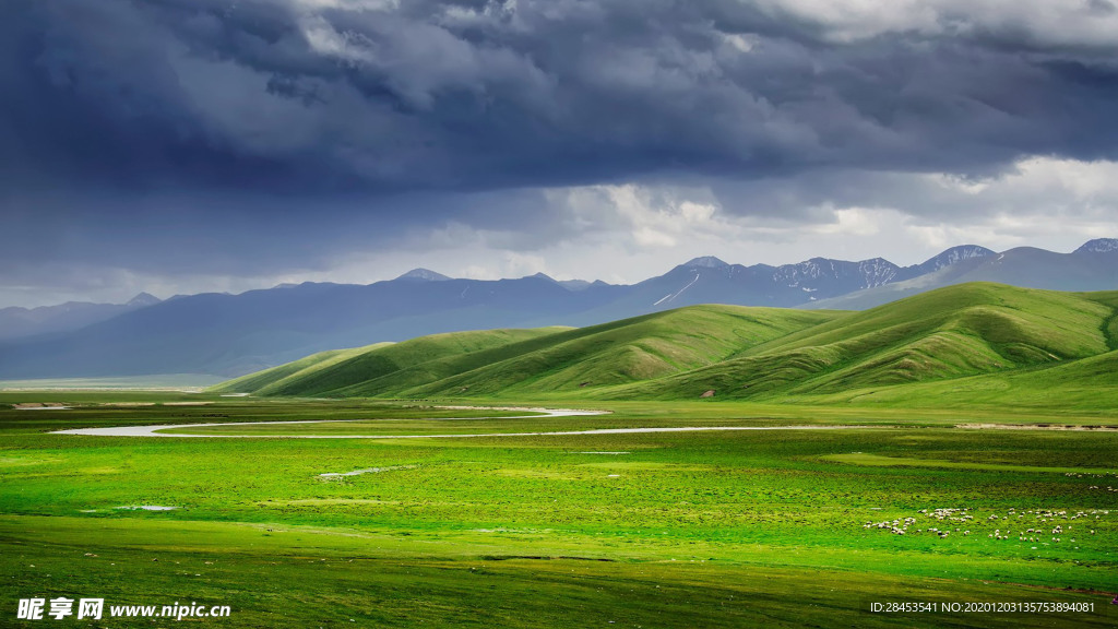 风景