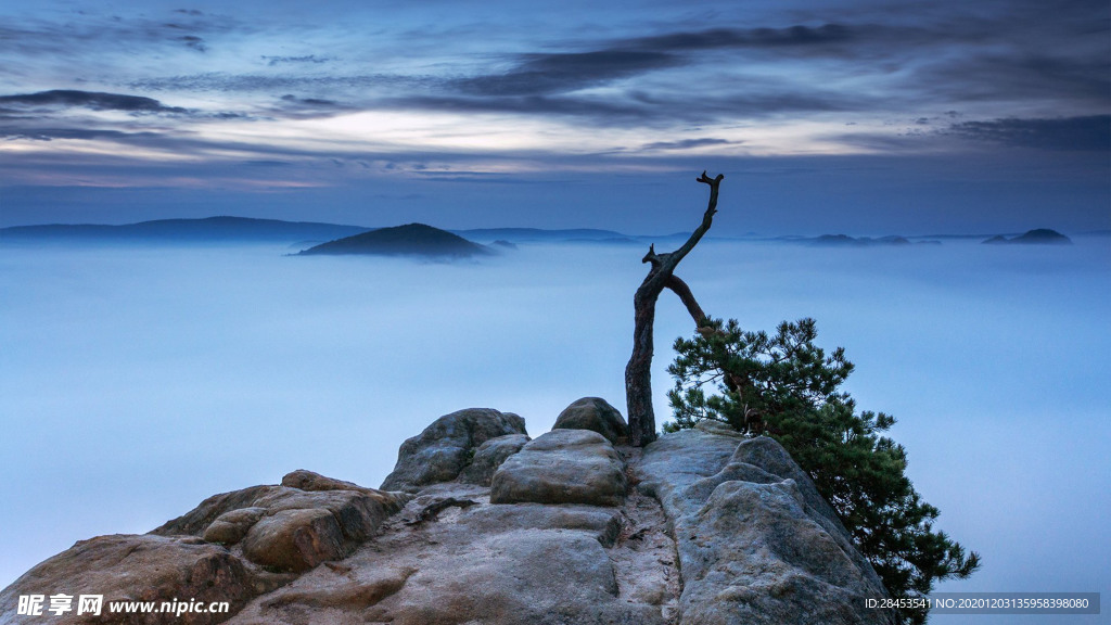 风景