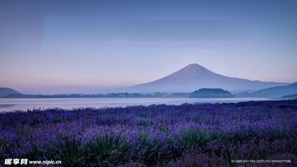风景