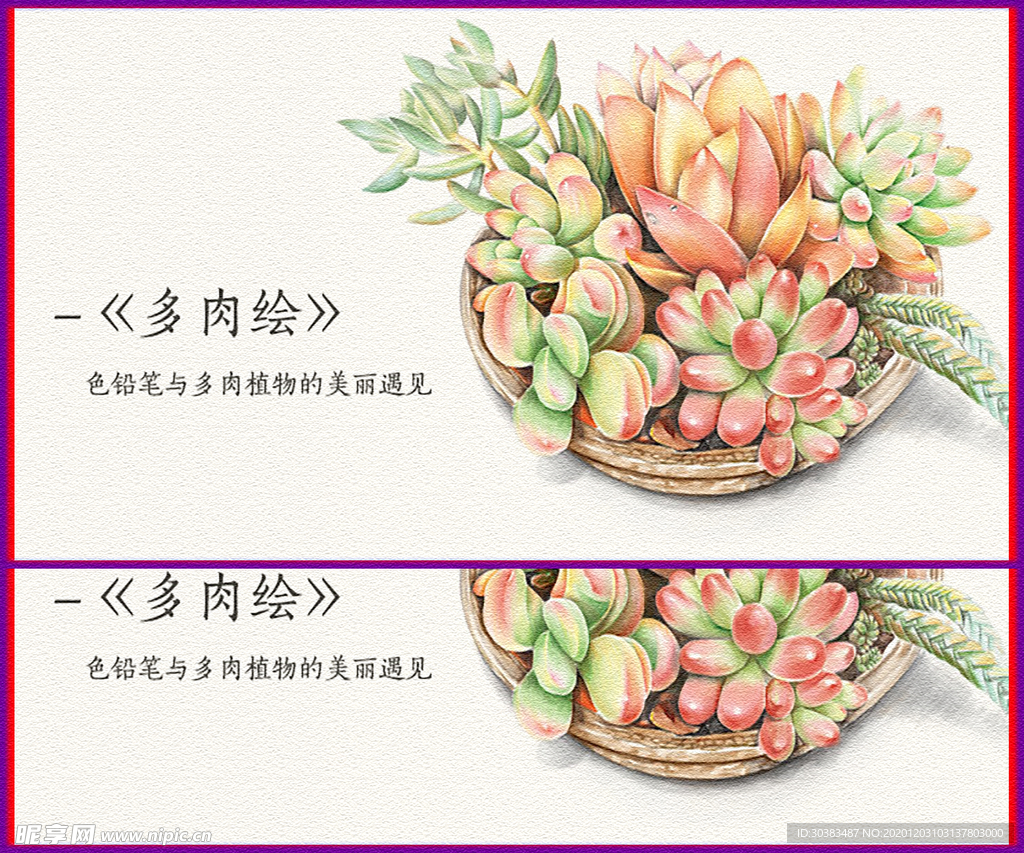 多肉绘画