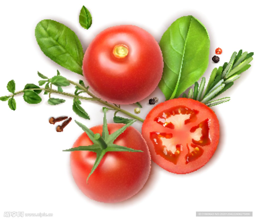 番茄 蔬菜 水果