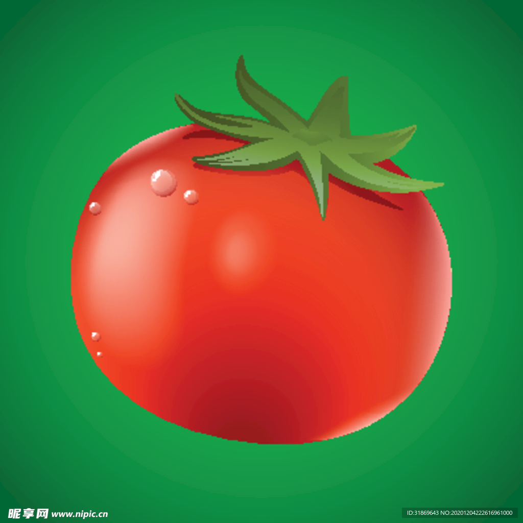 番茄 蔬菜 水果