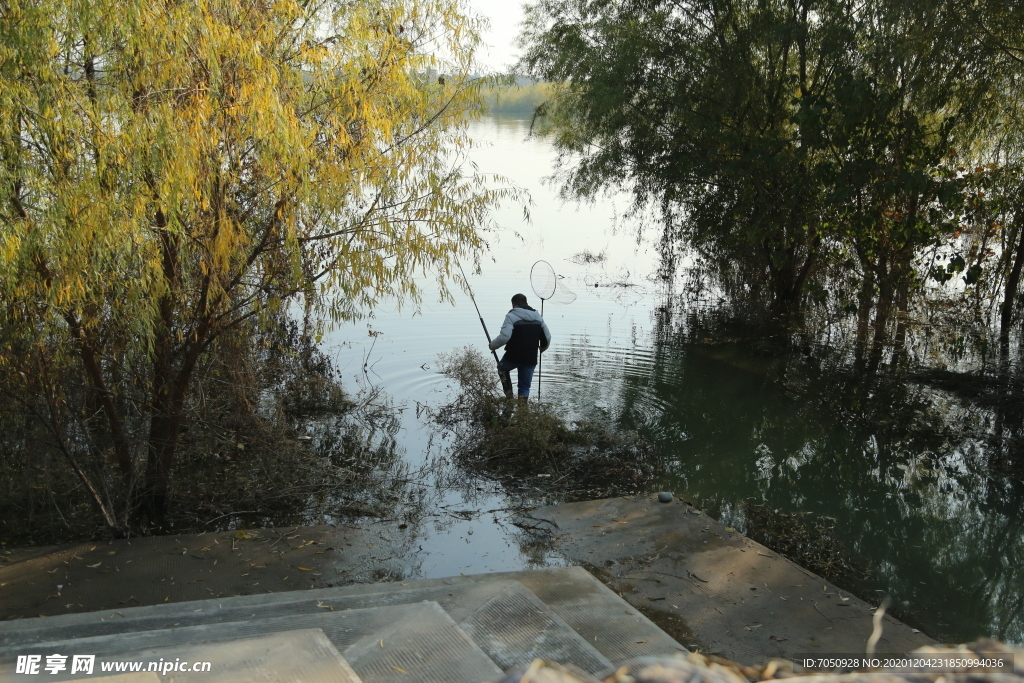 下河捞鱼