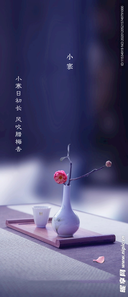 小寒节气海报