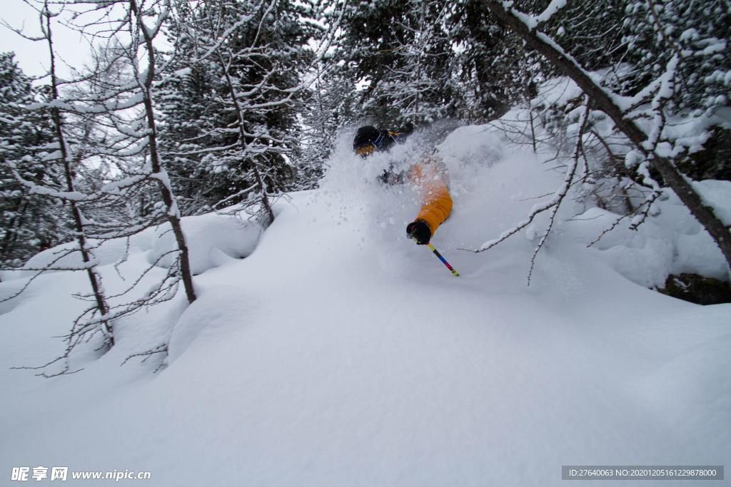 滑雪图片
