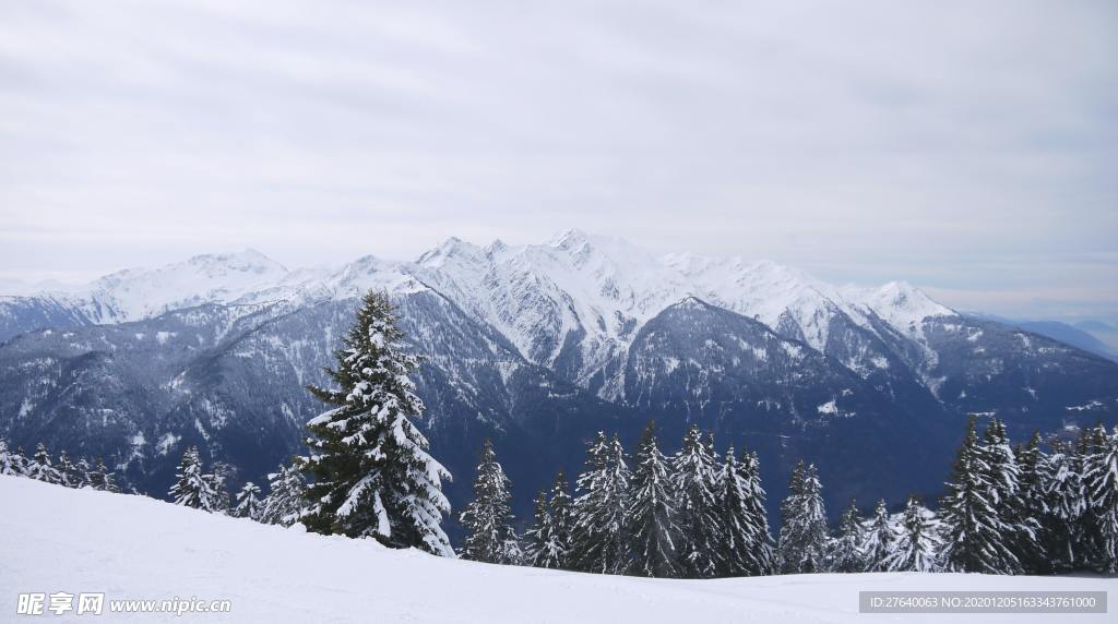雪景图片