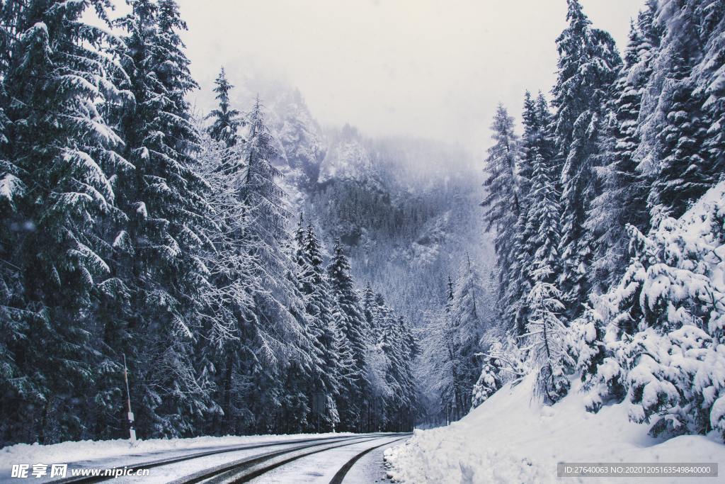 雪景图片