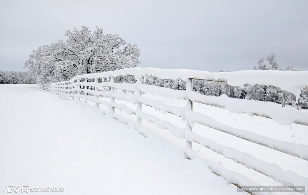 雪景图片