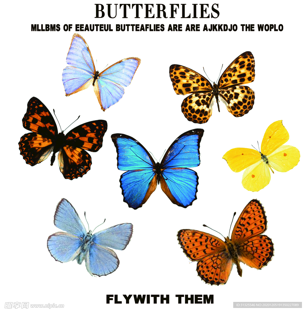 蝴蝶 彩色  T恤  裁片