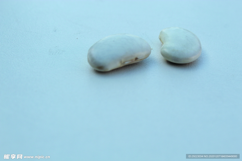 芸豆 白豆 大豆