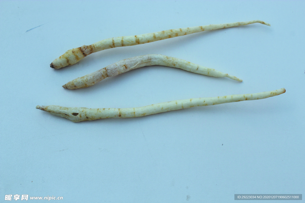 沙参  卤料  草药   香料