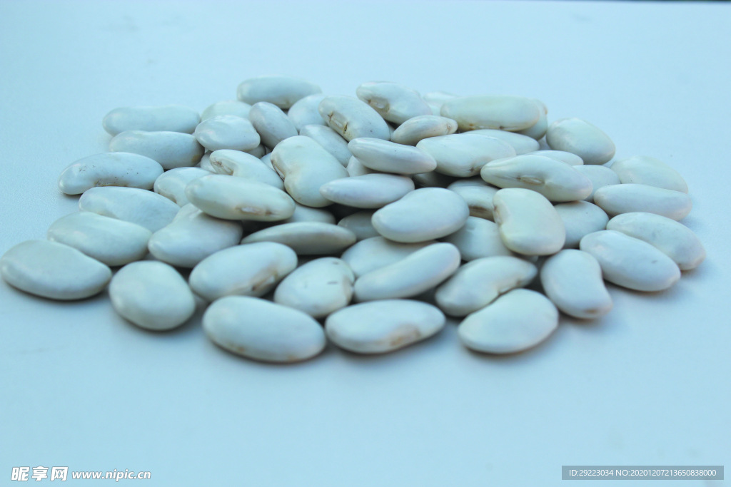 芸豆 白豆 大豆