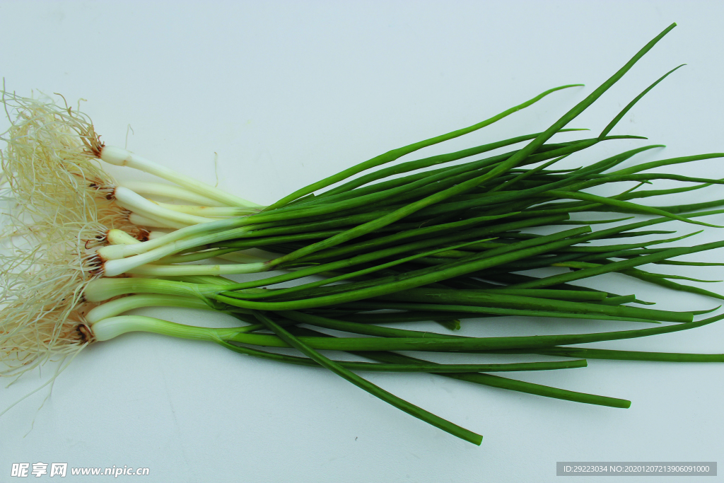 蔬菜 香葱