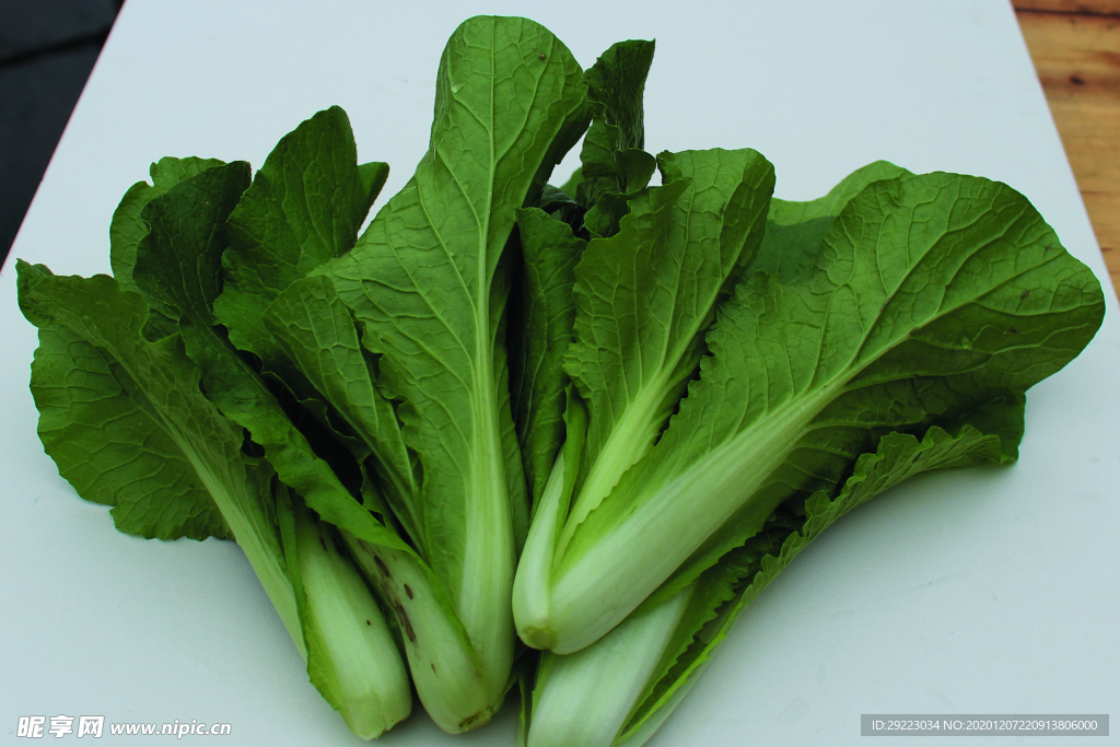 蔬菜 白菜