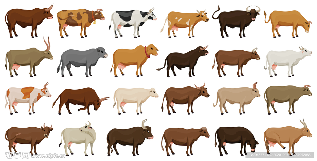 各种各样的牛插图