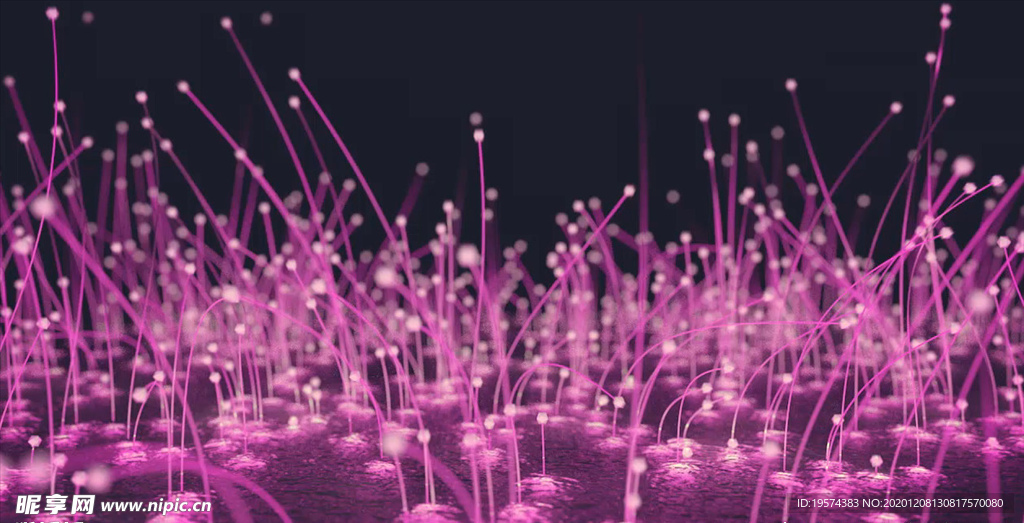 C4D 片头动画真菌蘑菇微生物