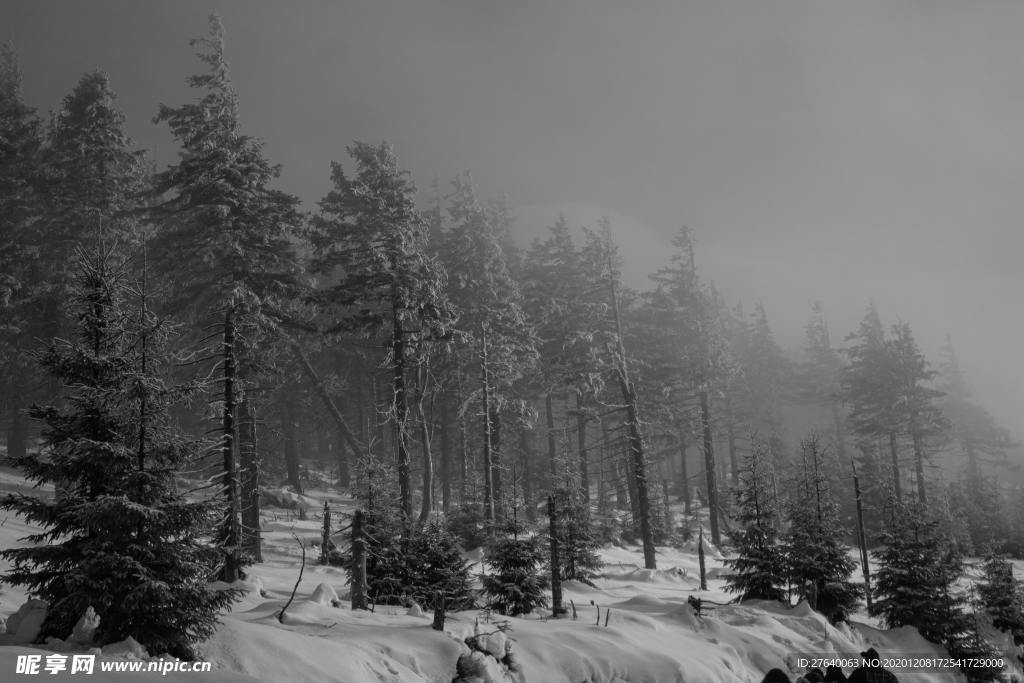 雪景图片
