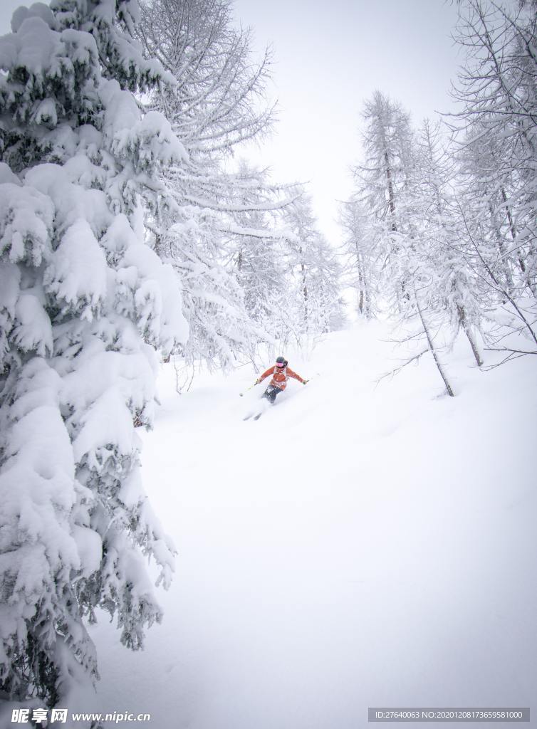 滑雪图片