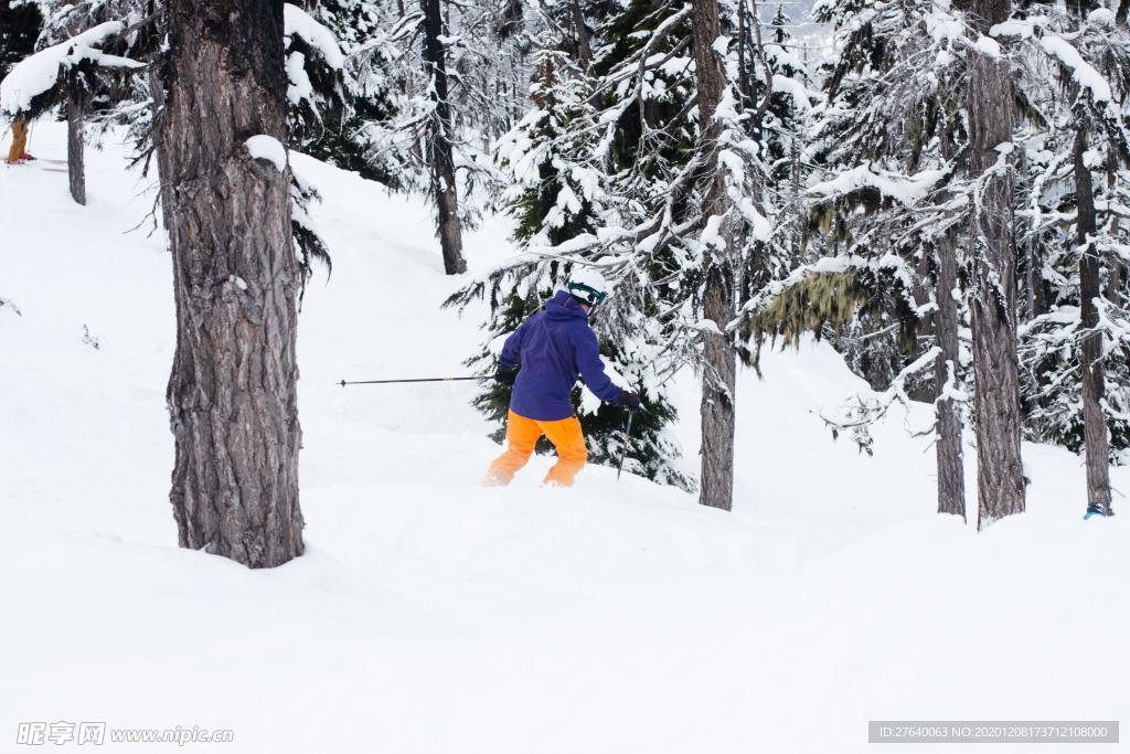 滑雪图片