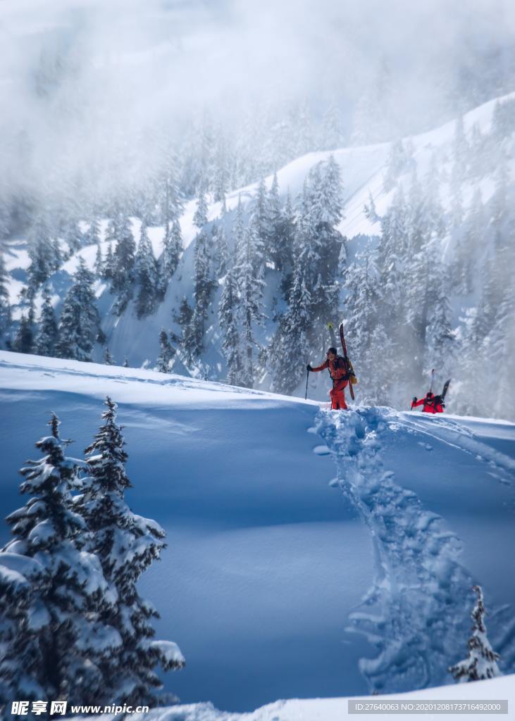 滑雪图片
