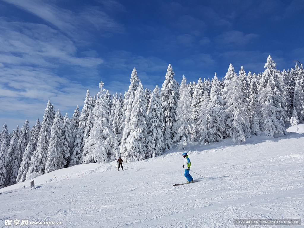 滑雪图片