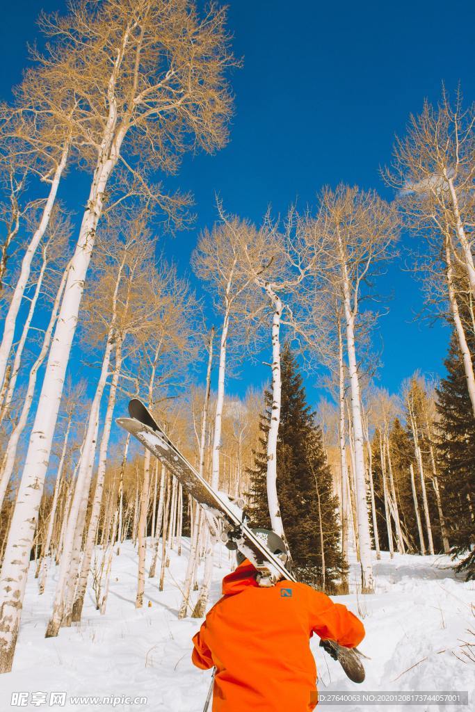 滑雪图片