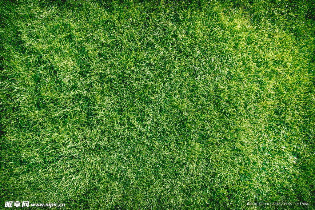 绿色草皮