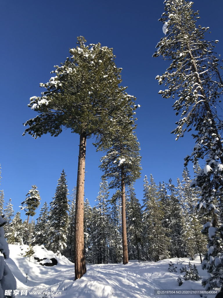 雪景
