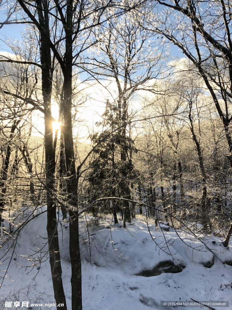 雪景