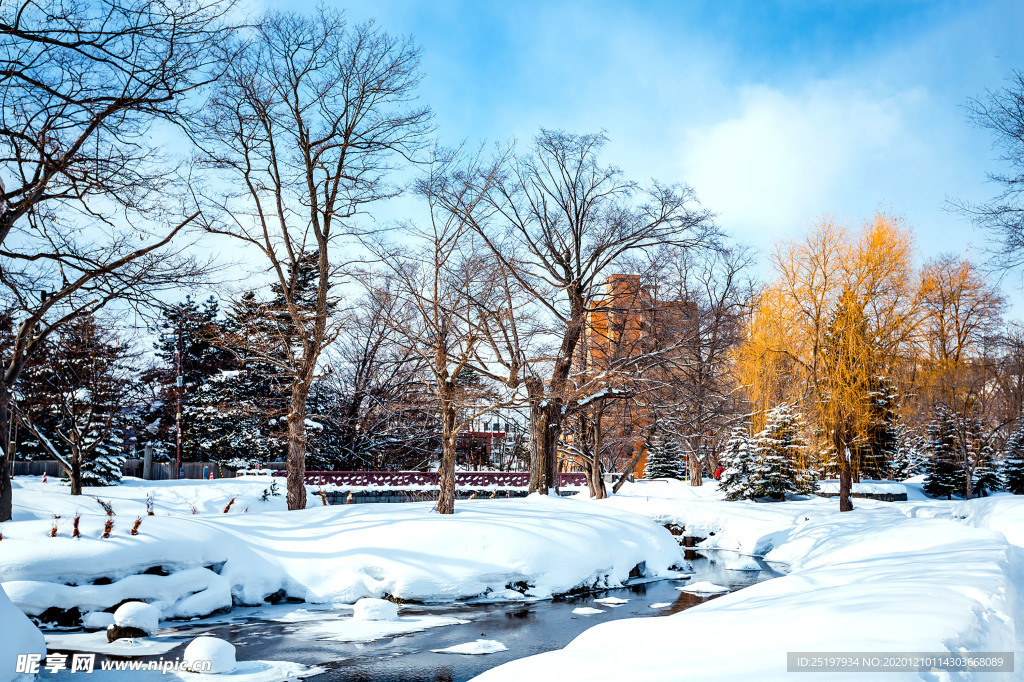 雪景