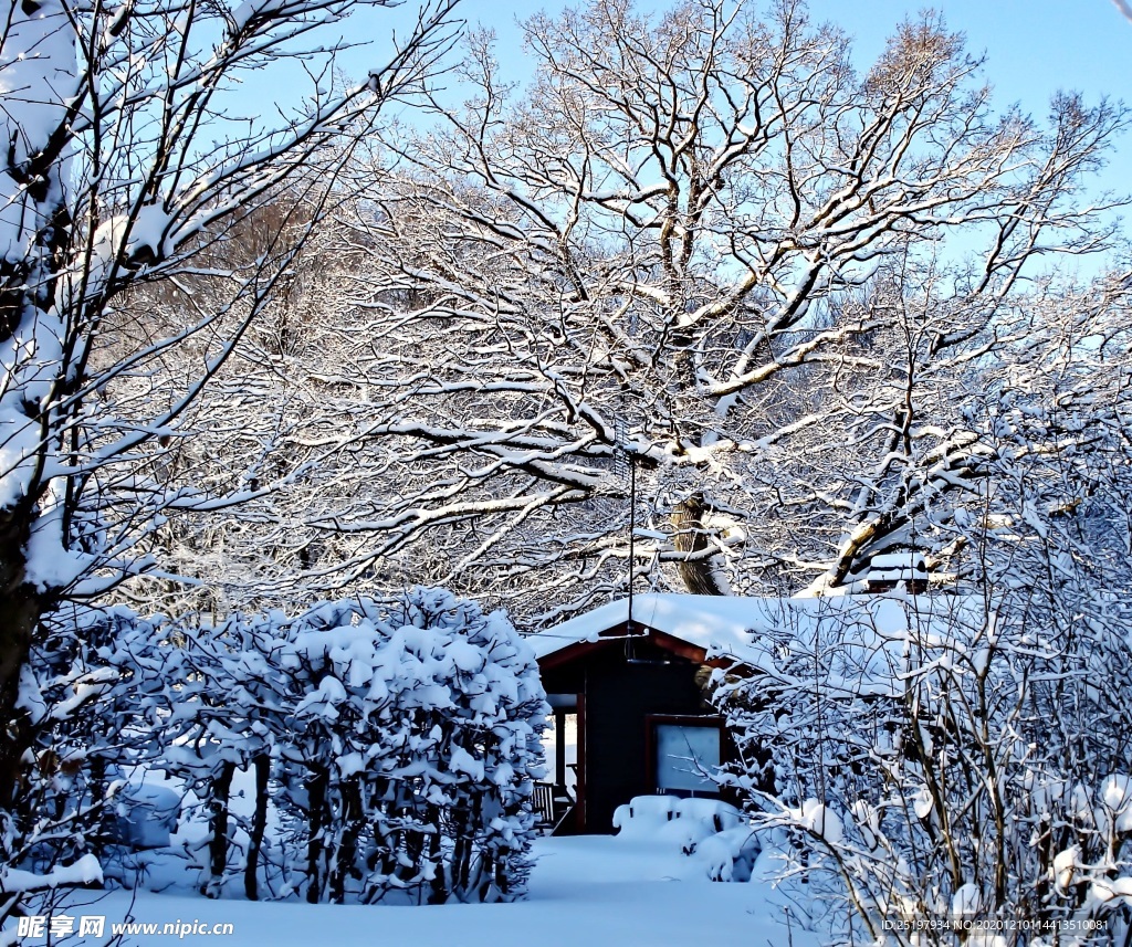 雪景